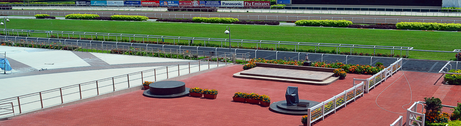 Singapore Turf Club, Singapore - Versatile™ Modular Equine Rubber Flooring